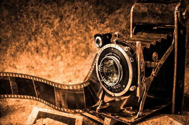 pixabay_f806c664d393833835710aae3ea5c37e.jpg